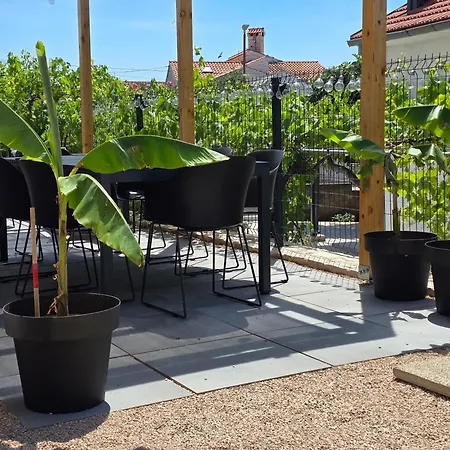 Summer House Le Vito